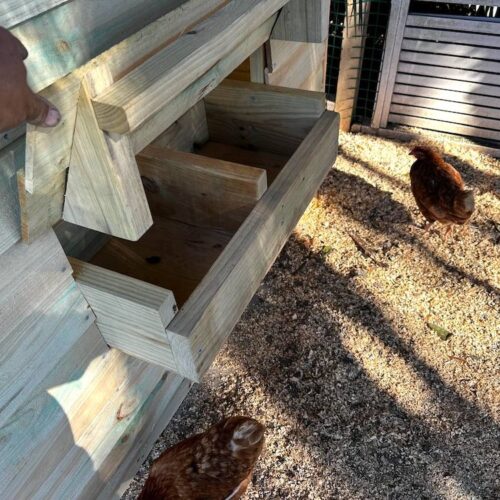 Australian Backyard Creations - Stylish digs for your feathered friends!